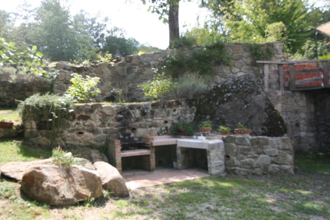 Photo of Others in Torniella