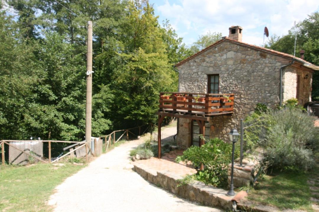 Photo of Others in Torniella