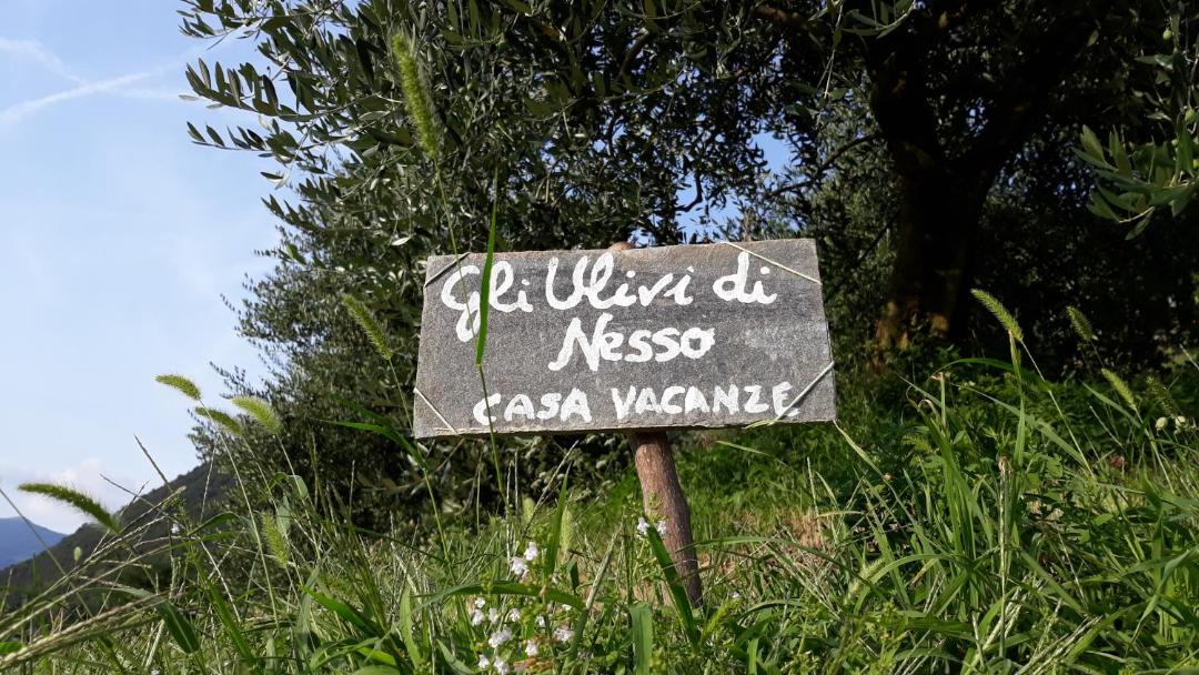 Photo of Others in Nesso
