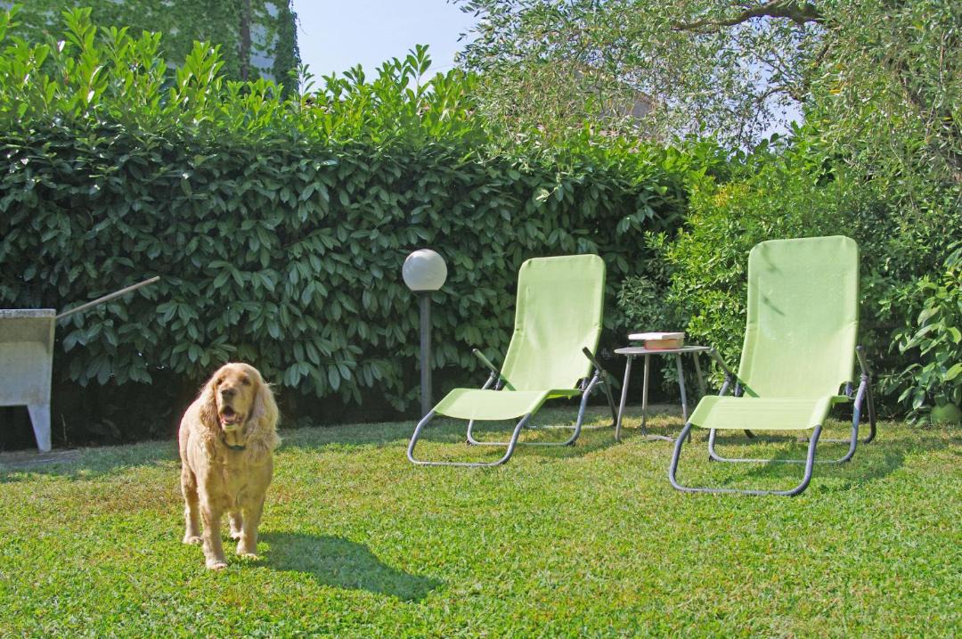 Photo of Others in Castelnuovo Magra