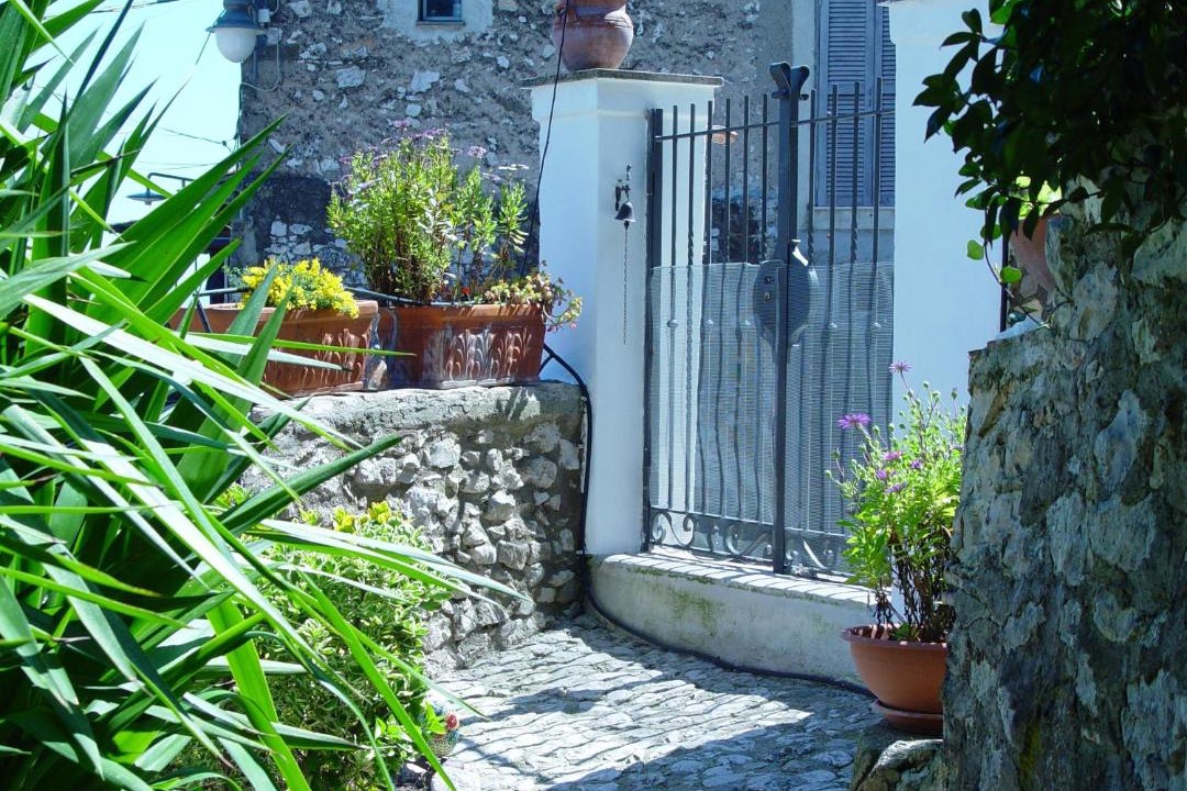 Photo of Others in Artena