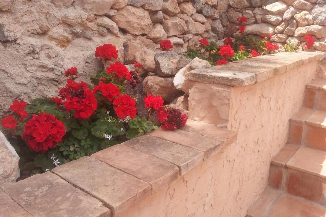 Photo of Others in Diputacion de Rincon de San Gines