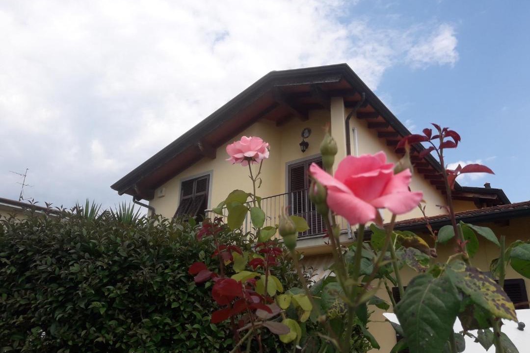 Photo of Buildings in Montignoso