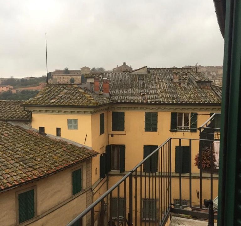 Photo of Others in Siena City Centre