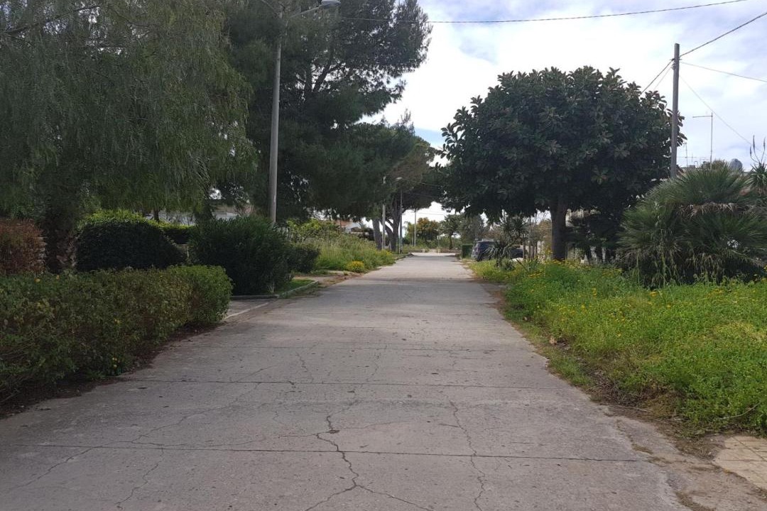 Photo of Others in Plaja Grande
