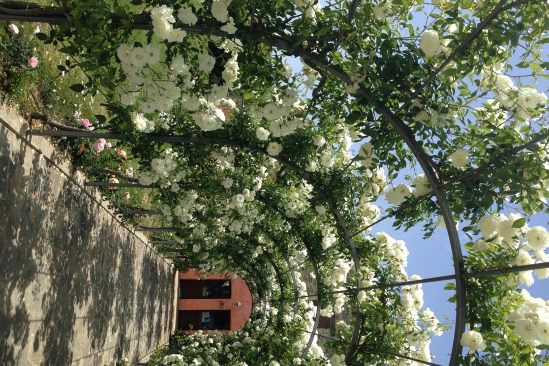 Photo of Outdoor in Lidarno