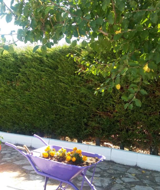 Photo of Others in Villar de Olalla