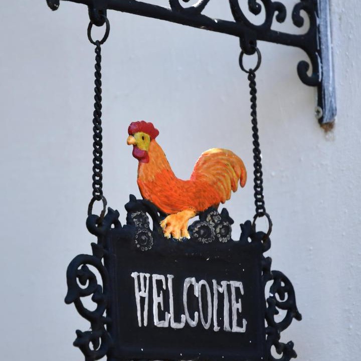 Photo of Others in Ostuni