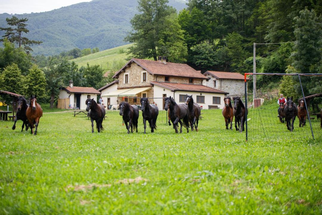 Photo of Buildings in Bedonia