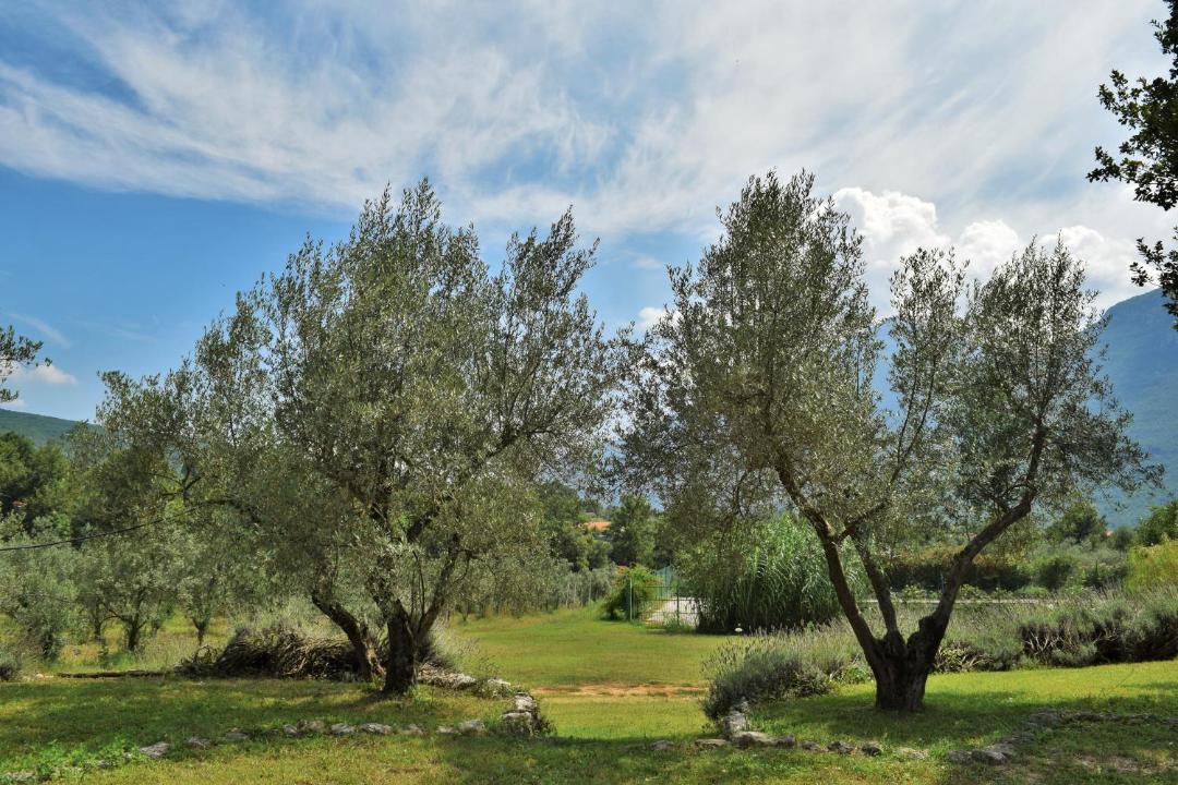Photo of Others in Balsorano