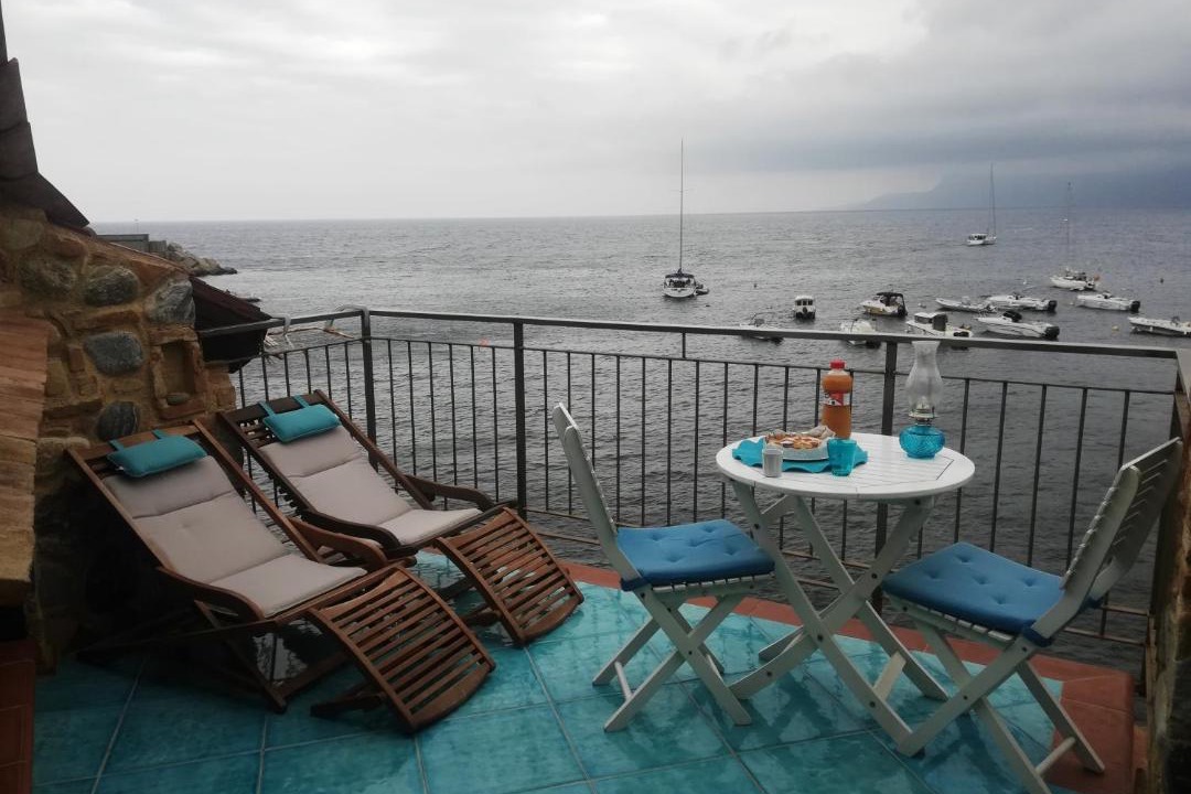 Photo of Others in Scilla