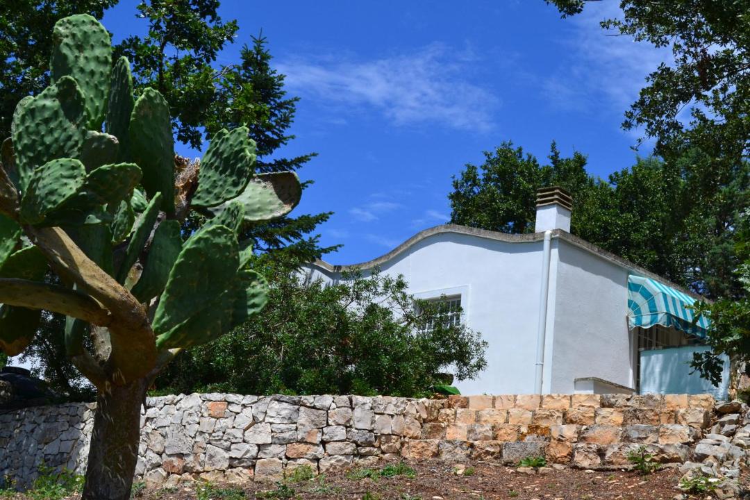 Photo of Others in Ostuni