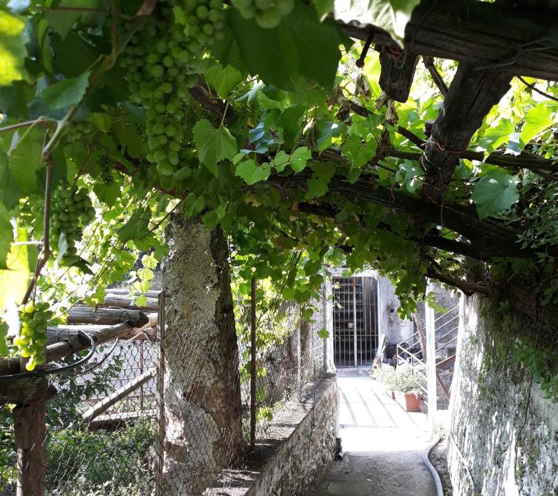 Photo of Others in Maiori
