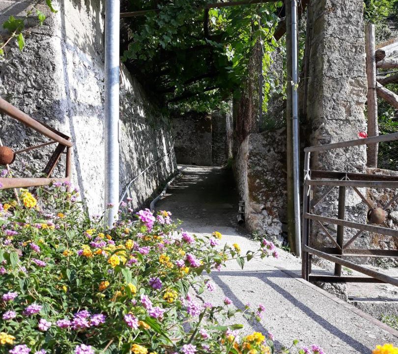 Photo of Others in Maiori