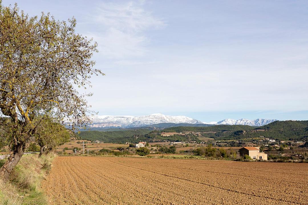 Photo of Others in Solsona