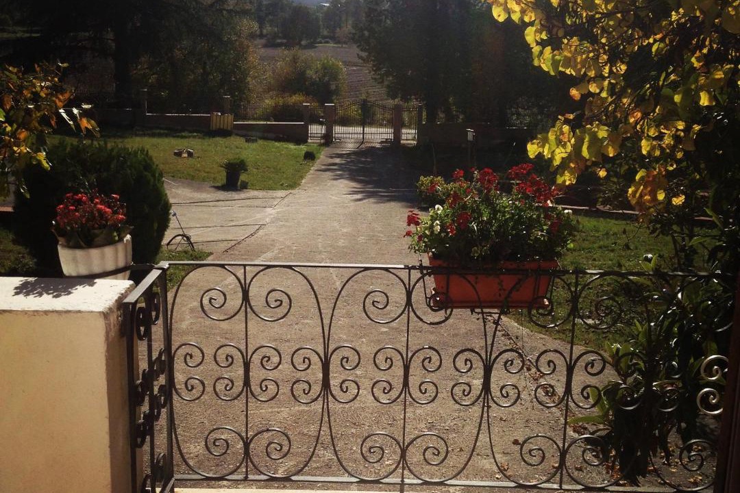 Photo of Others in Badia
