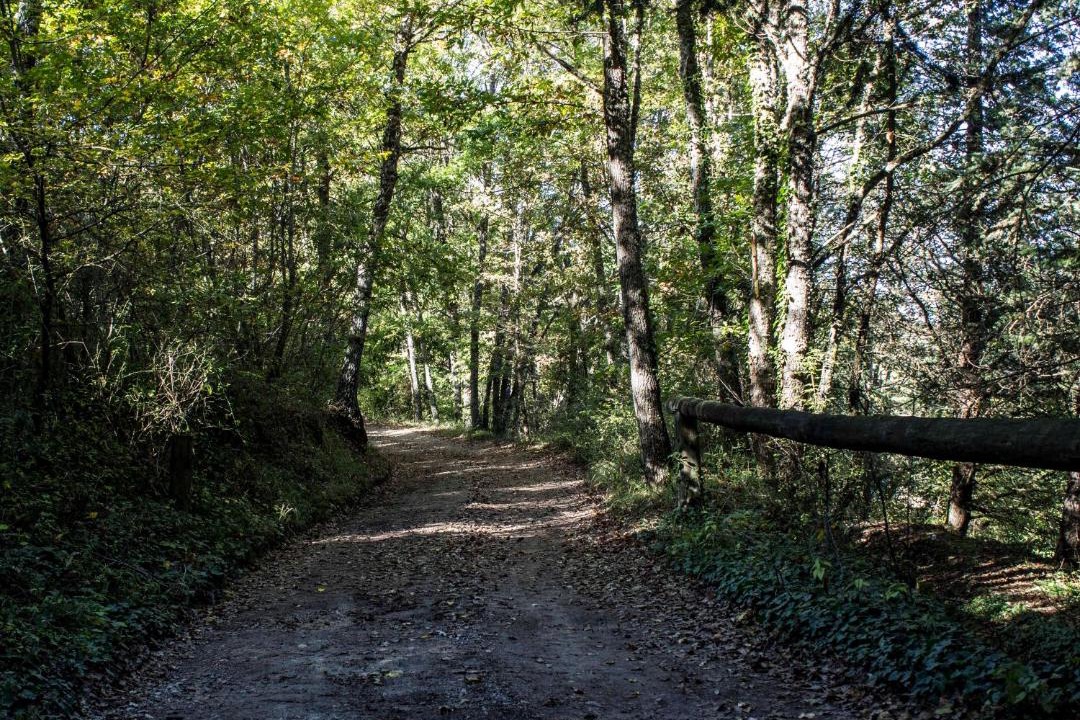 Photo of Outdoor in Pignola