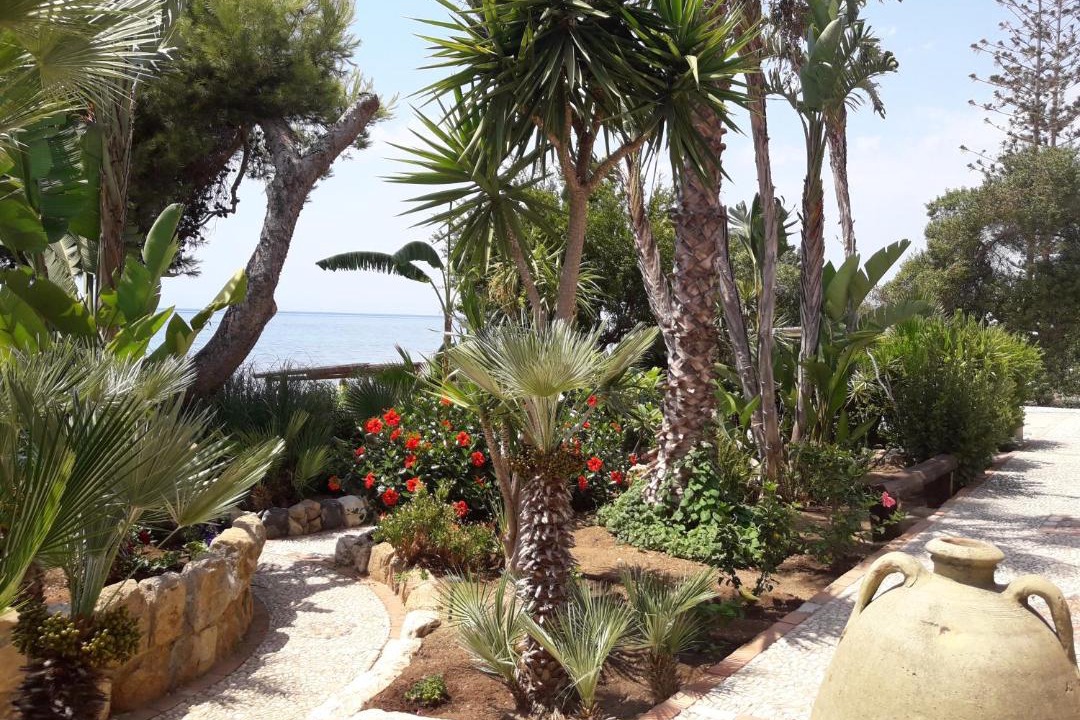 Photo of Others in Sciacca
