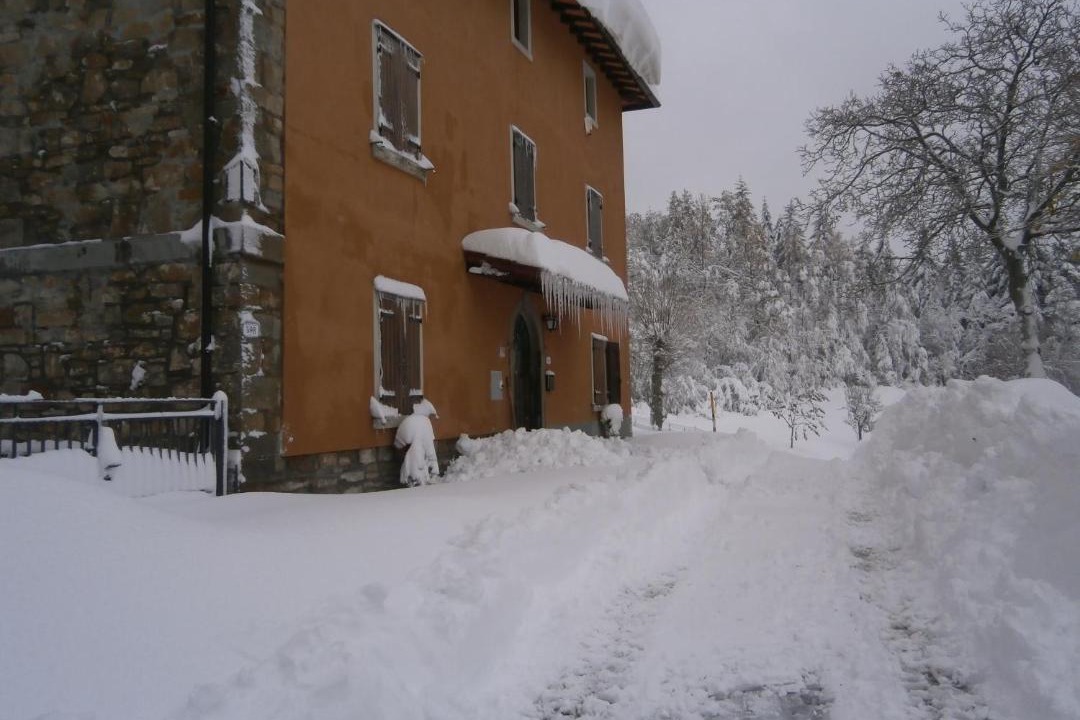 Photo of Others in Firenzuola