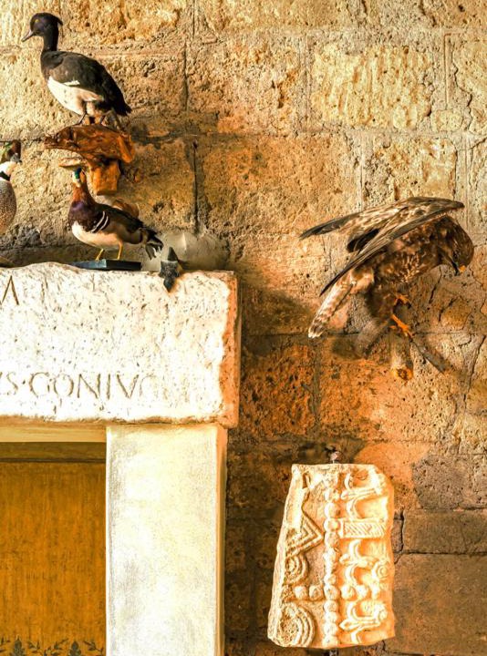 Photo of Others in Civita di Bagnoregio