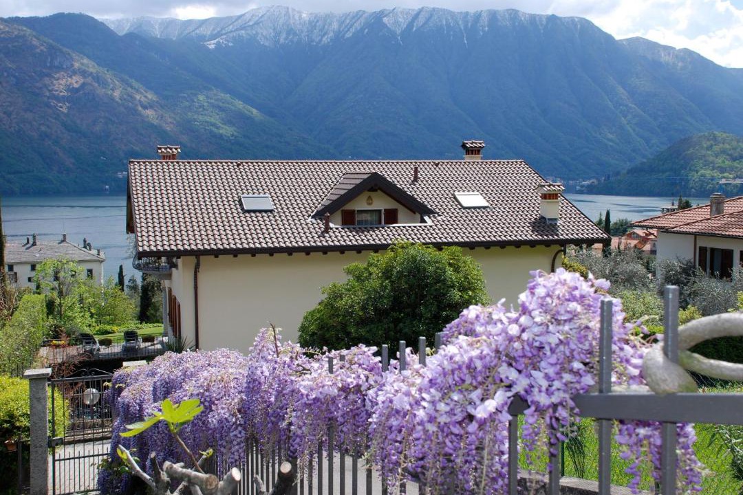 Photo of Others in Tremezzo