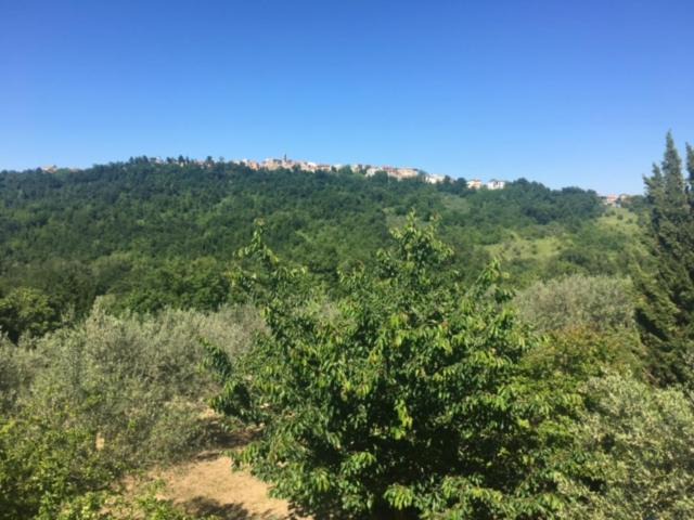Photo of Others in Guardiagrele