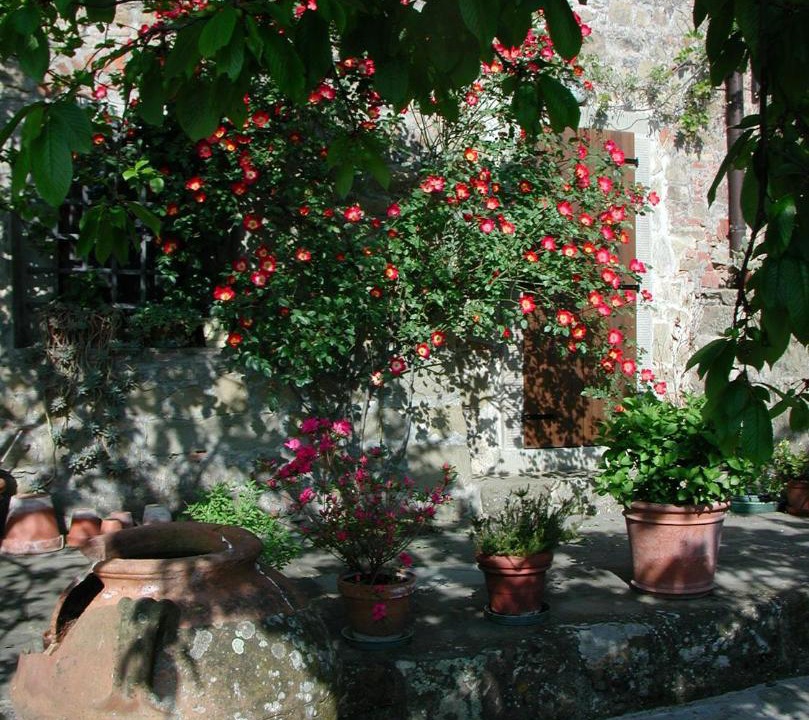 Photo of Others in Figline e Incisa Valdarno