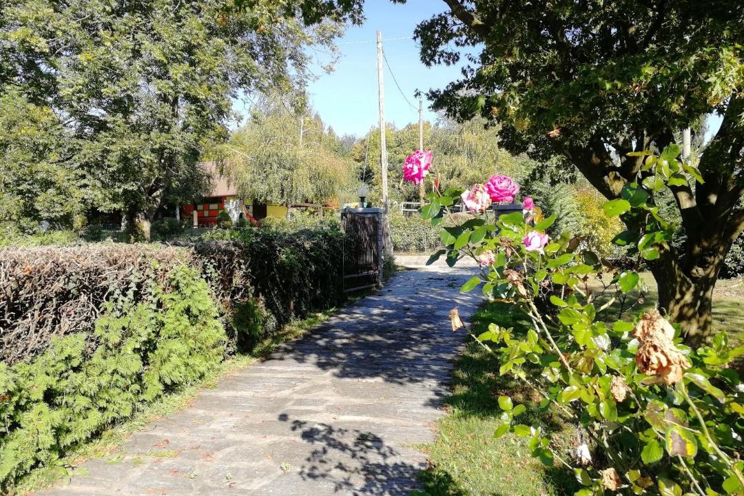 Photo of Outdoor in Gignese