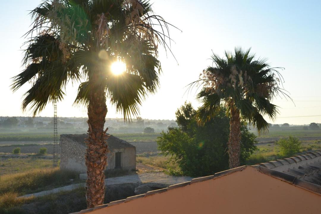 Photo of Others in San Fulgencio