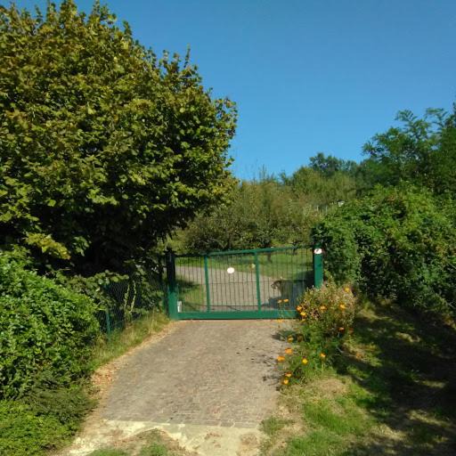 Photo of Others in Brusnengo