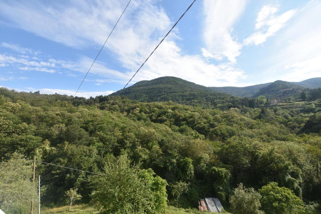 Photo of Others in La Foce