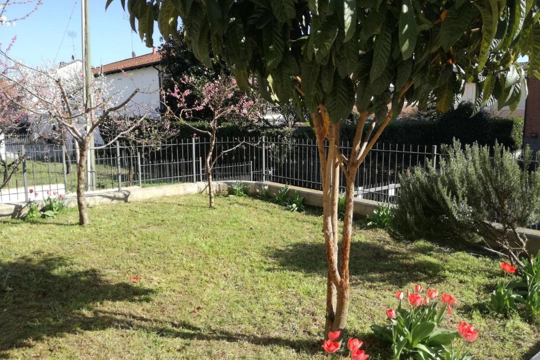 Photo of Outdoor in Chivasso
