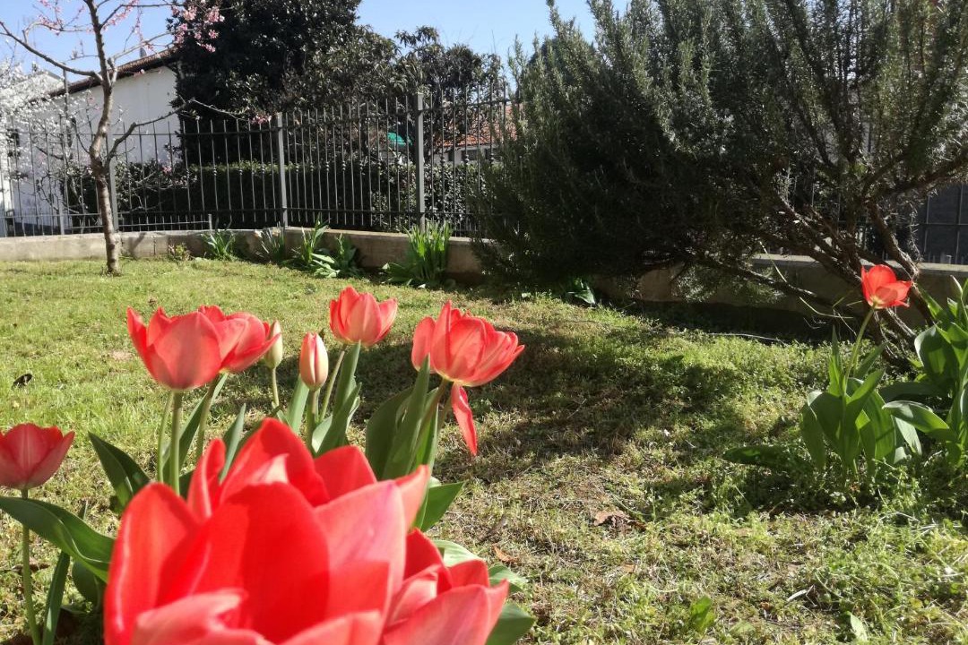 Photo of Outdoor in Chivasso