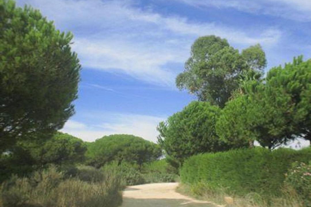 Photo of Others in Conil de la Frontera
