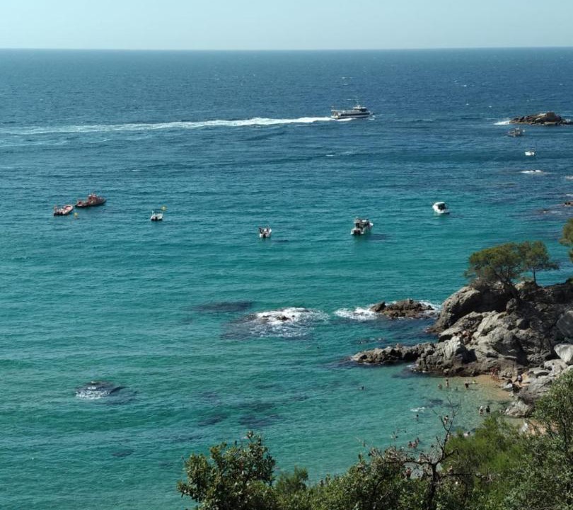Photo of Others in Lloret Town Center