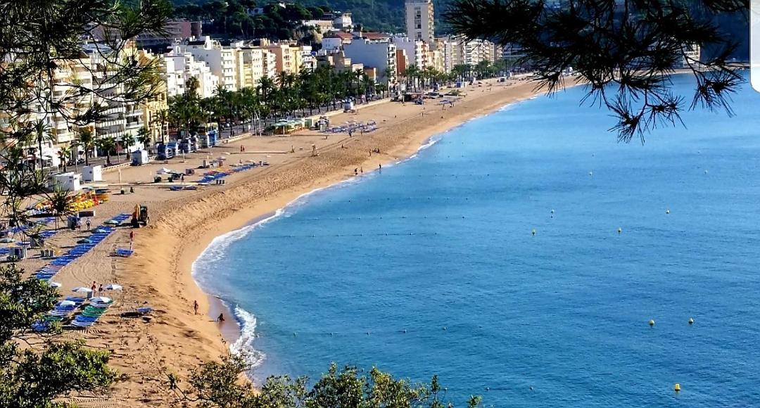 Photo of Outdoor in Lloret Town Center