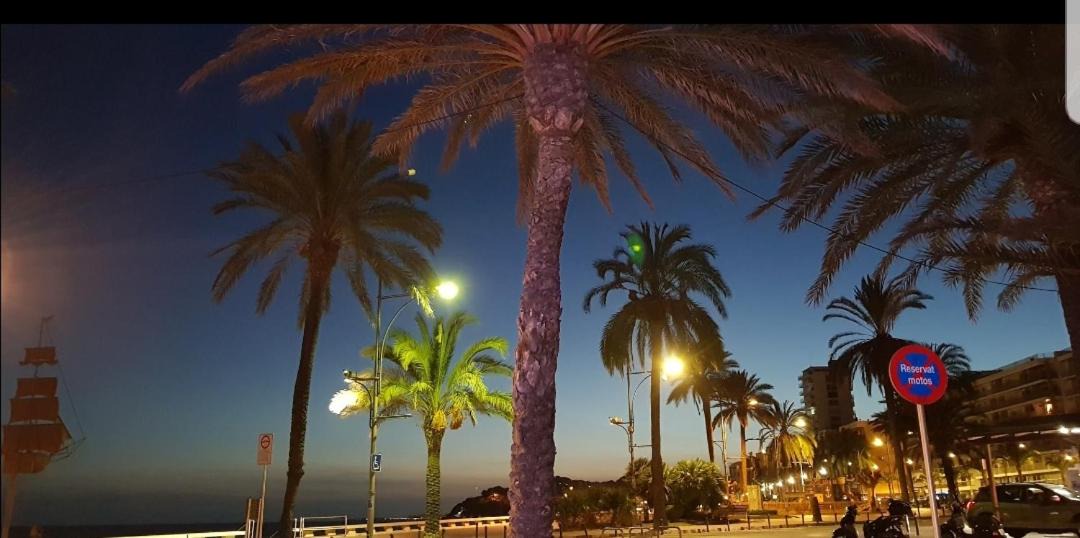 Photo of Others in Lloret Town Center