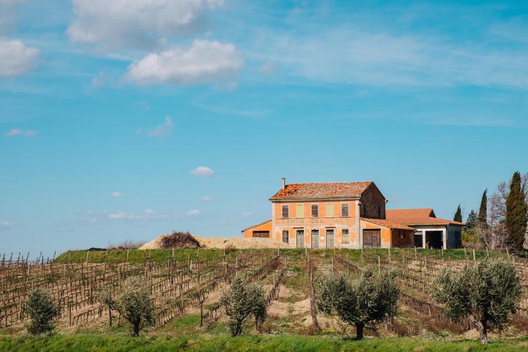 Photo of Others in Bertinoro