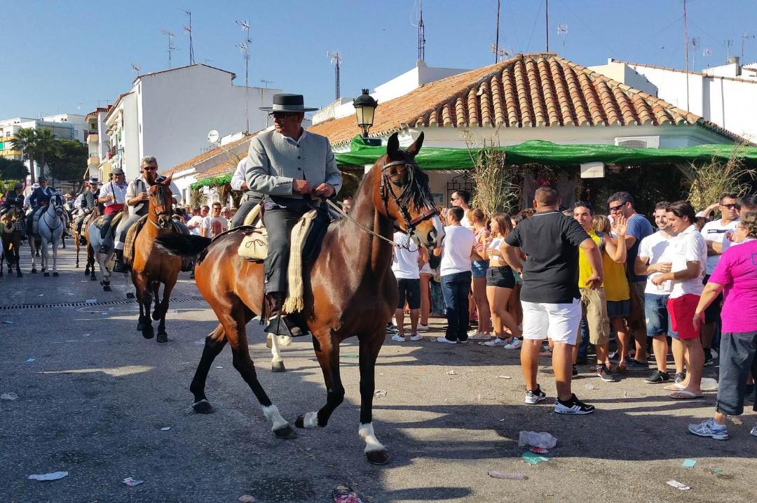 Photo of Others in Estepona