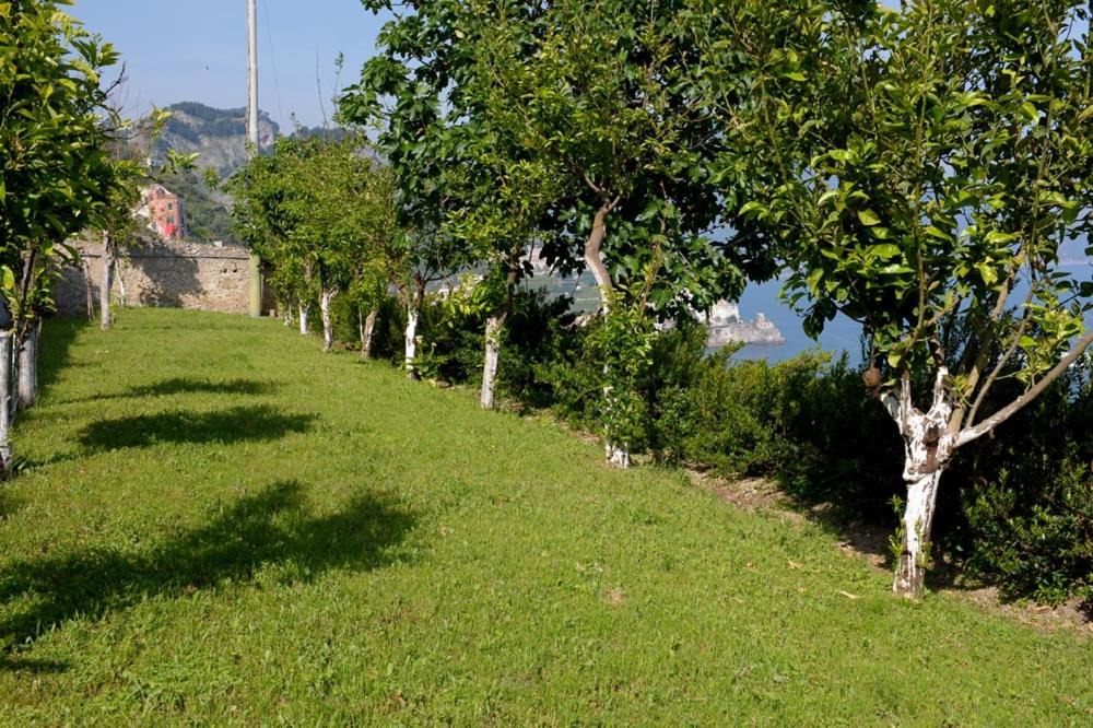 Photo of Others in Pogerola