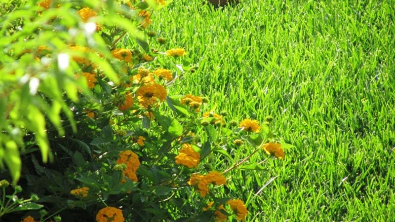 Photo of Outdoor in Modica