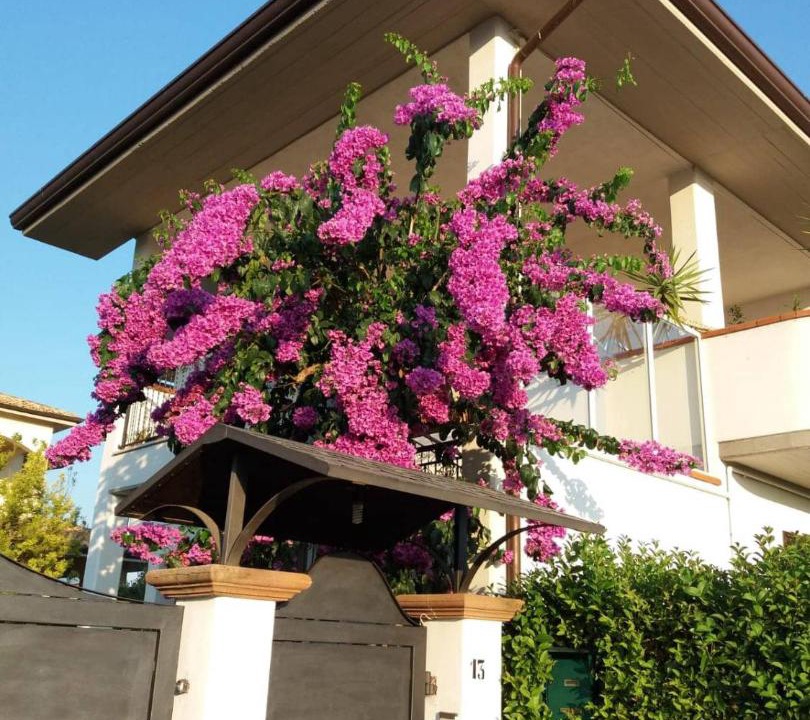 Photo of Buildings in Manoppello