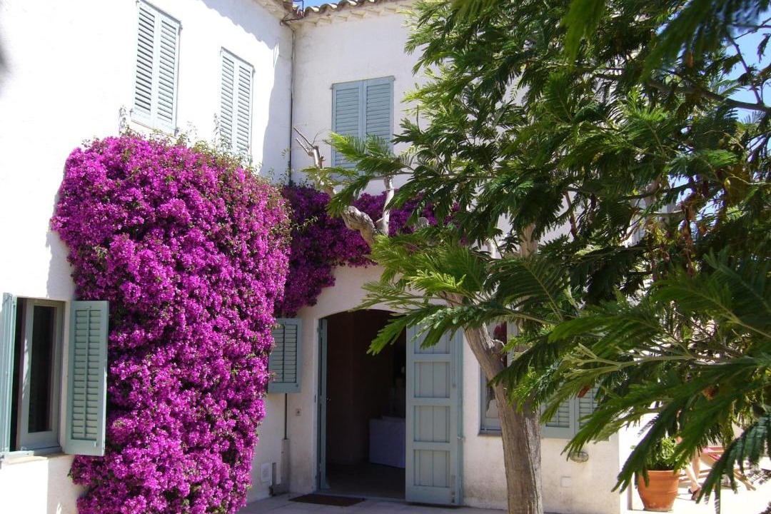 Photo of Buildings in Sant Vicenc de Montalt