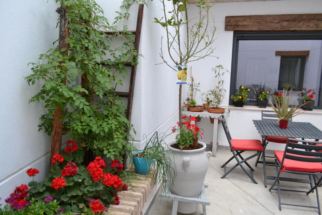 Photo of Patio Balcony in Almagro