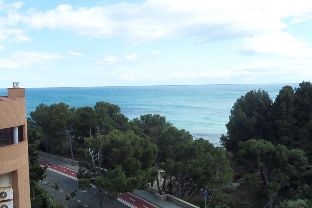 Photo of Others in Miami Platja
