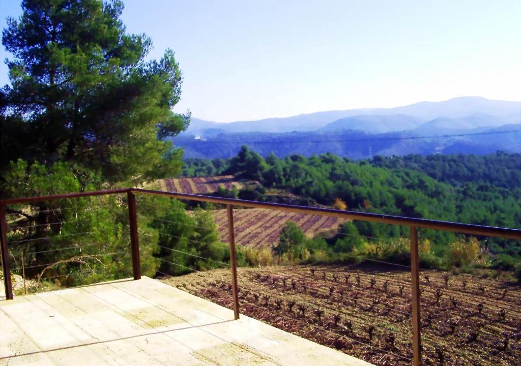 Photo of Others in Avinyonet del Penedes