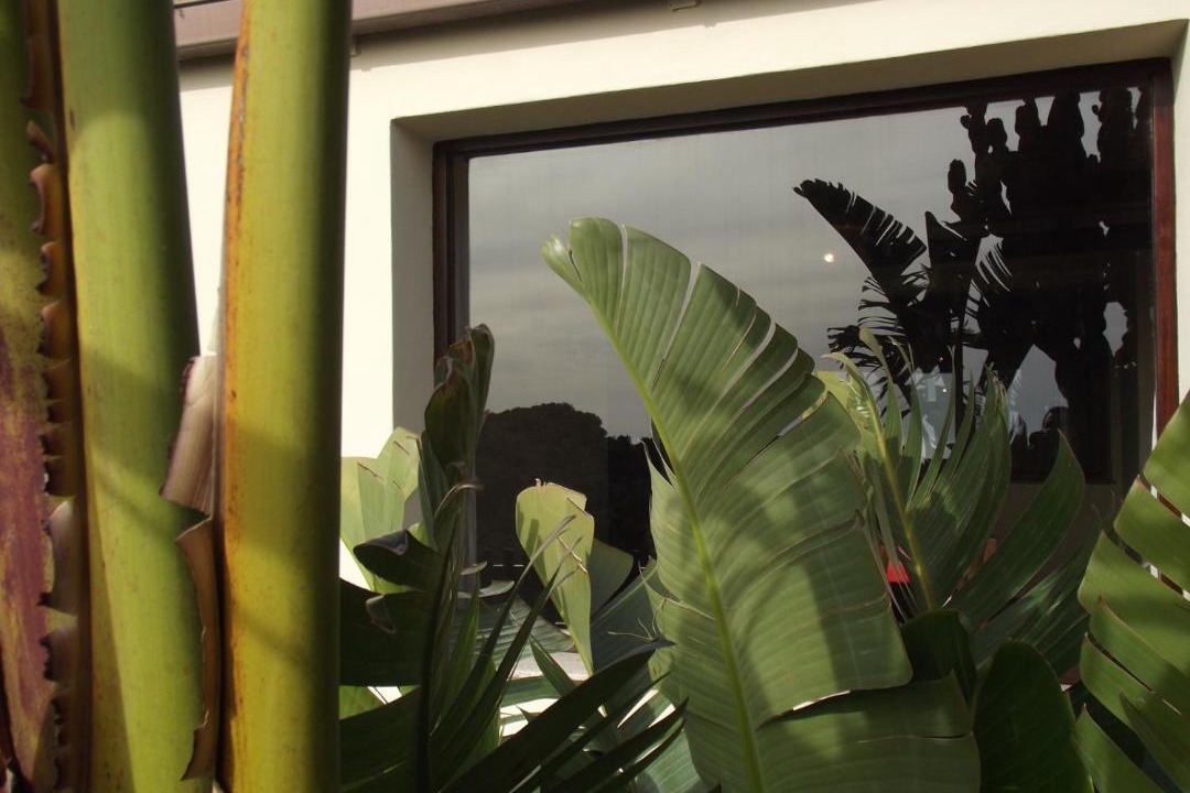 Photo of Patio Balcony in Rekhale