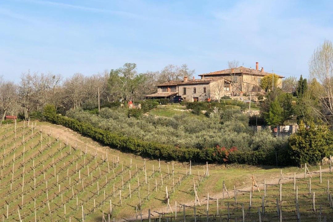 Photo of Others in Gaiole in Chianti