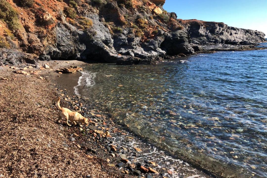 Photo of Others in Cabo de Palos