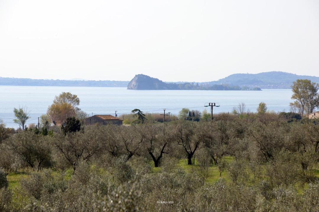 Photo of Others in Gradoli